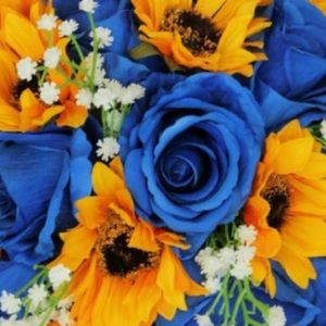 Meet your Posher, Alana